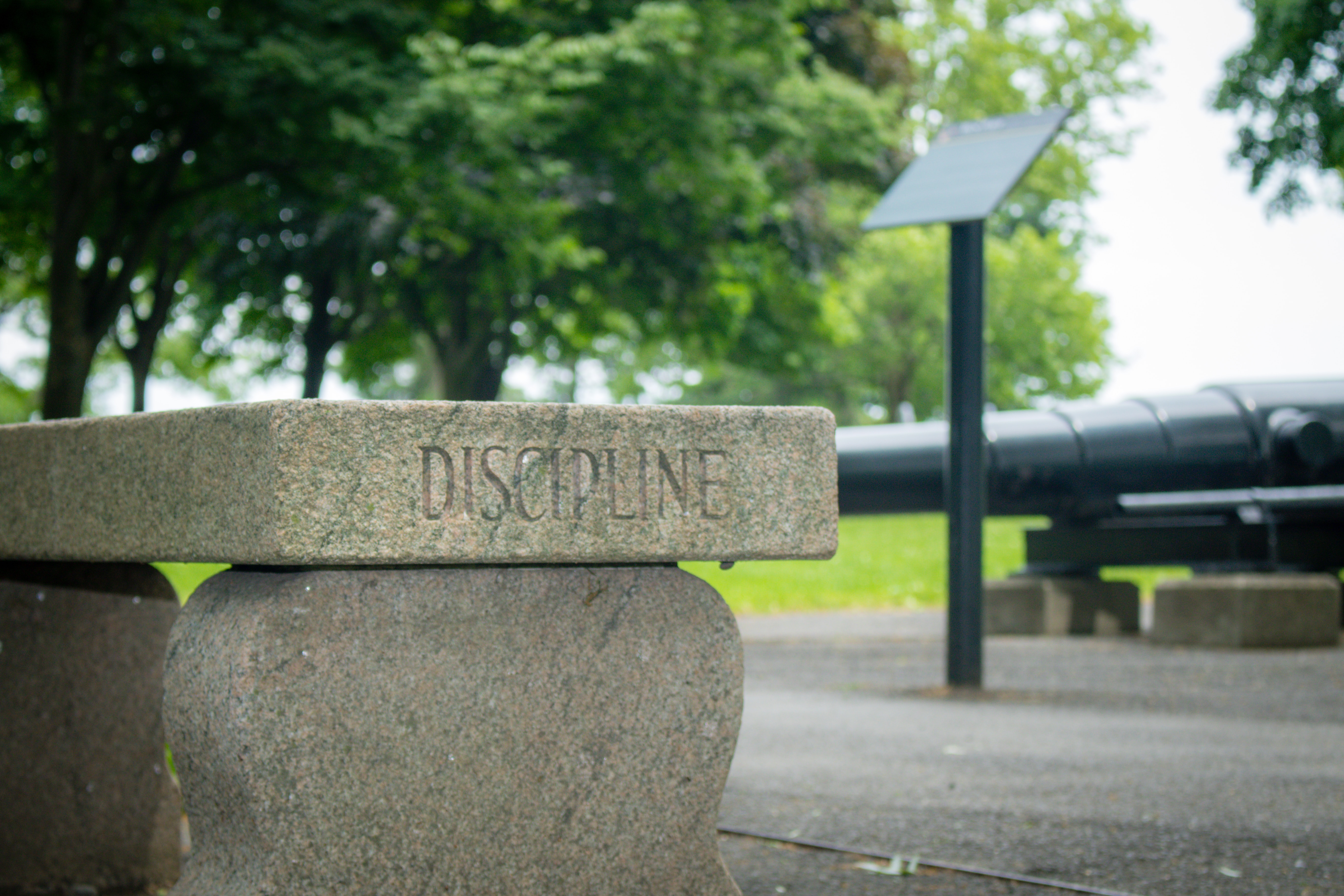 The 5th Discipline